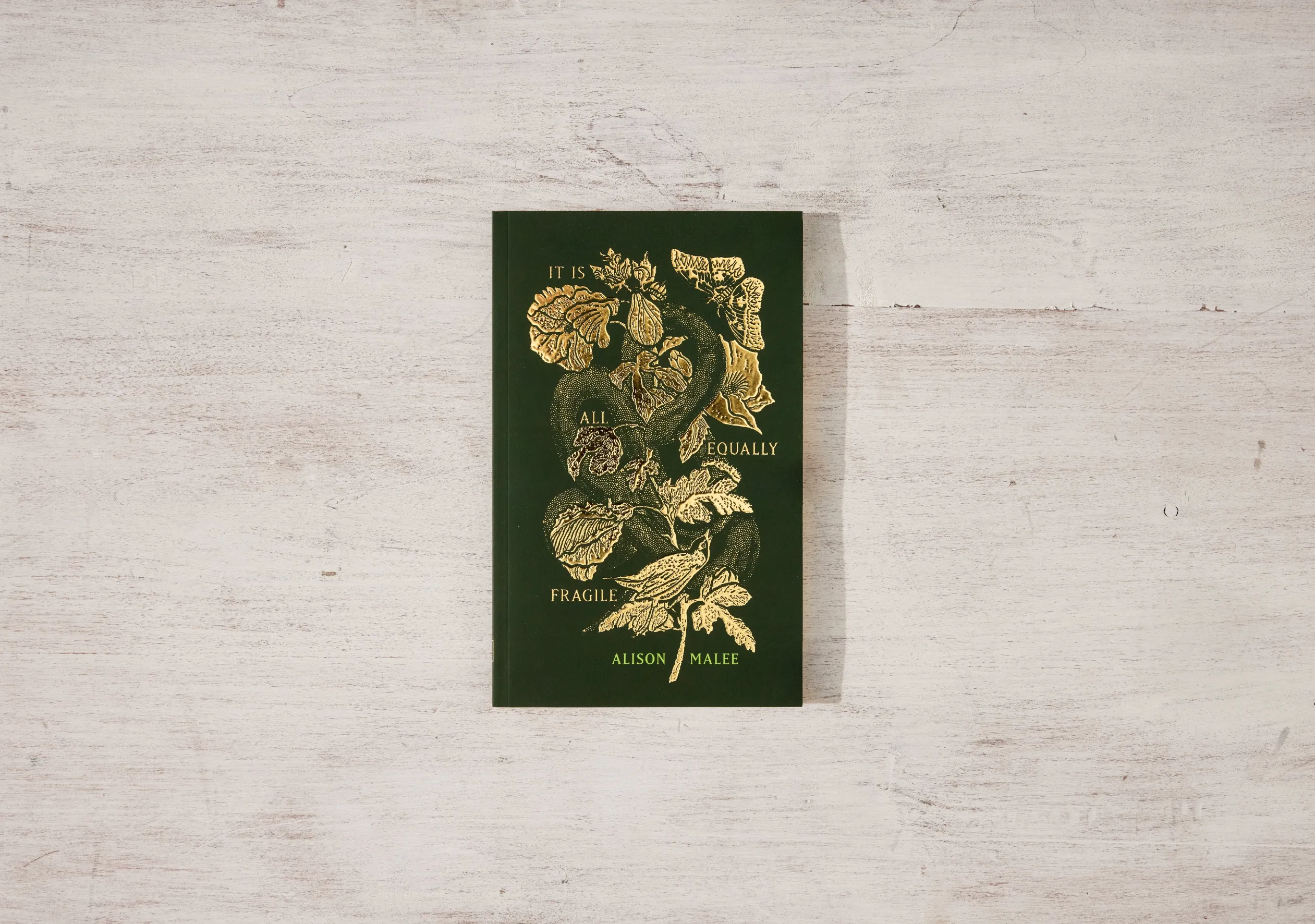 It Is All Equally Fragile - poetry book
