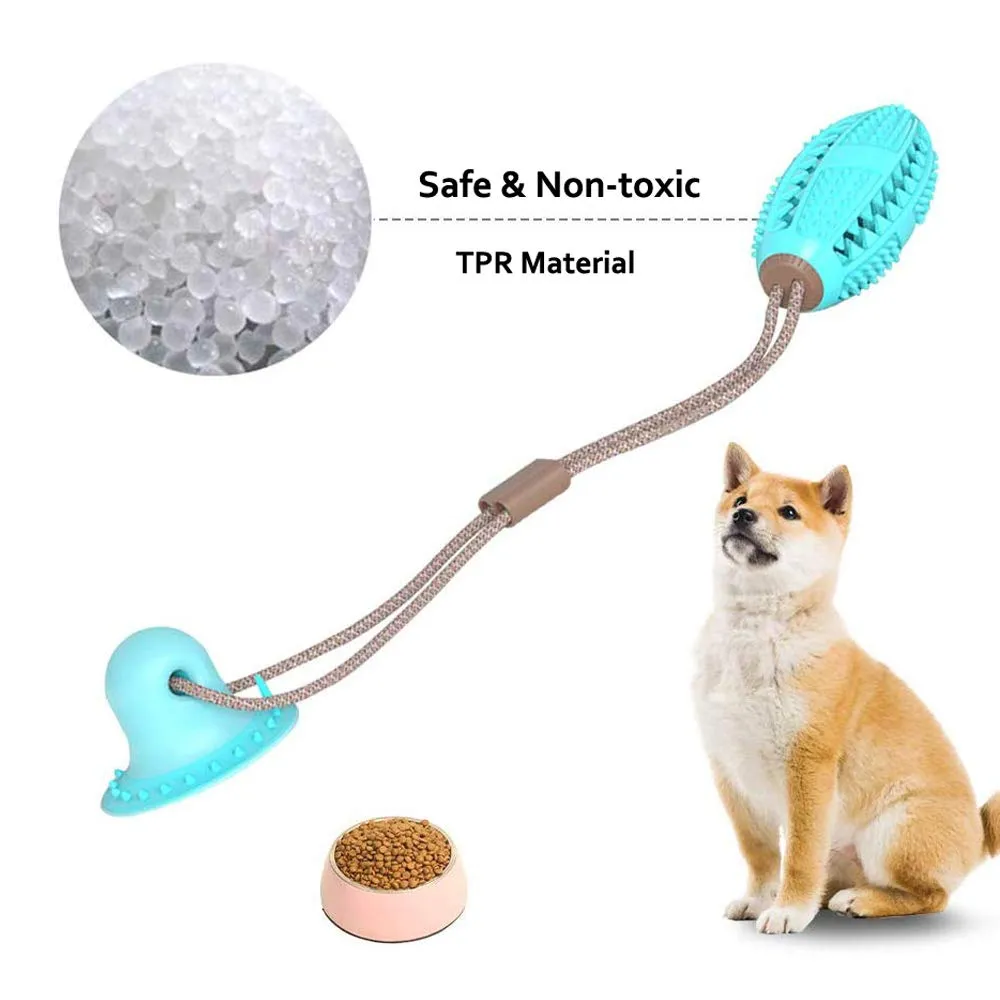 Suction Cup Food Chew Ball