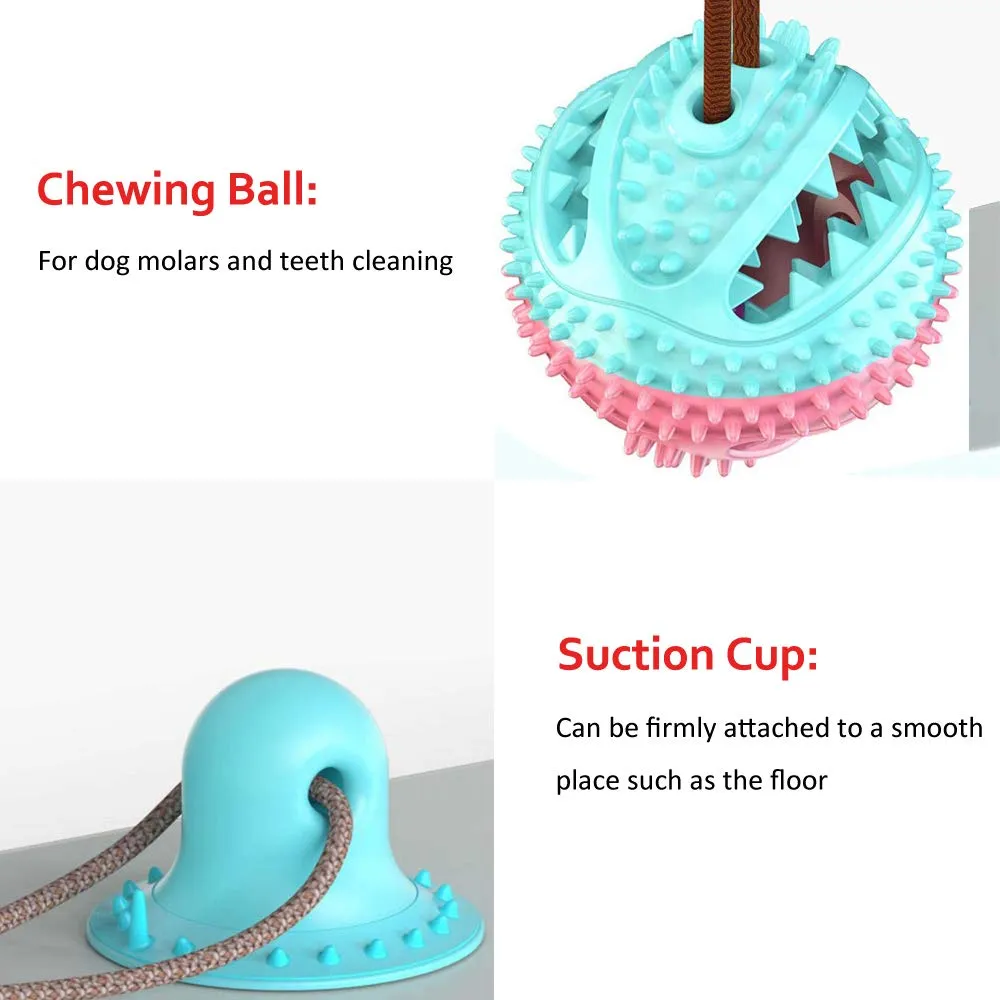 Suction Cup Food Chew Ball